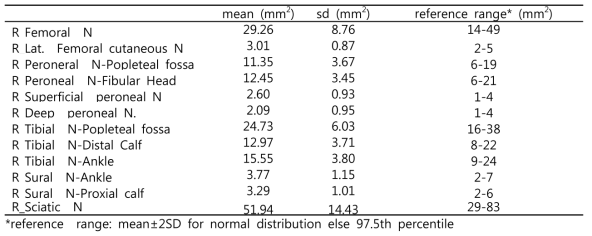 하지 말초신경 단면적 정상 범위