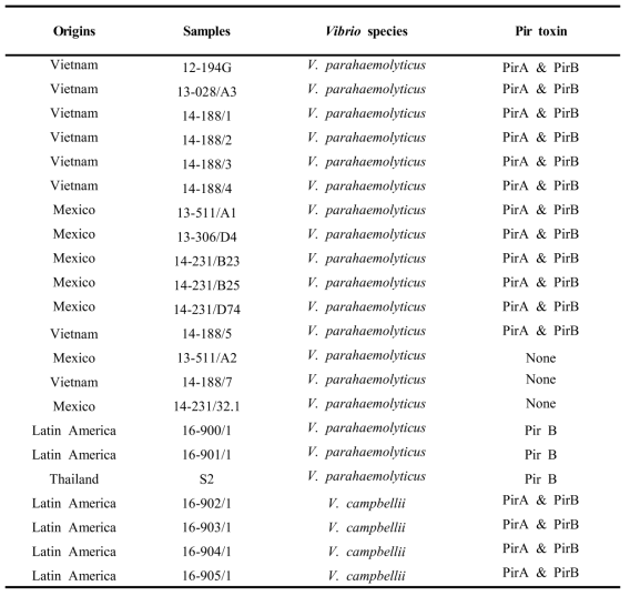 분리된 비브리오 22 종 List (Origin, Vibrio species 동정, Pir 독소 유무)