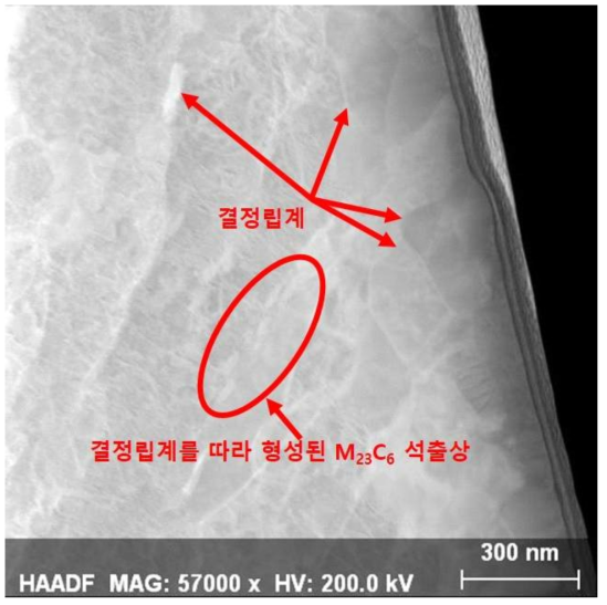 방사선이 조사되지 않은 HT.9 의 단면 TEM 이미지