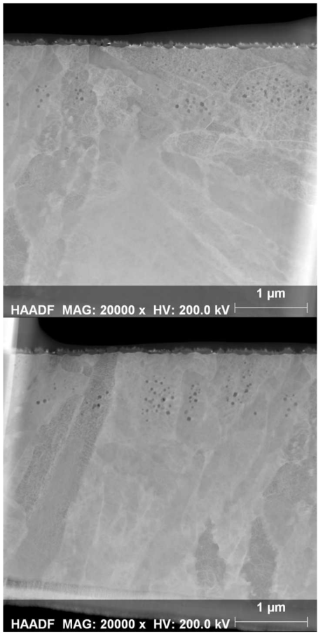 3.5 MeV Fe 이온을 조사한 HT.9 (조사손상도: 480 dpa)