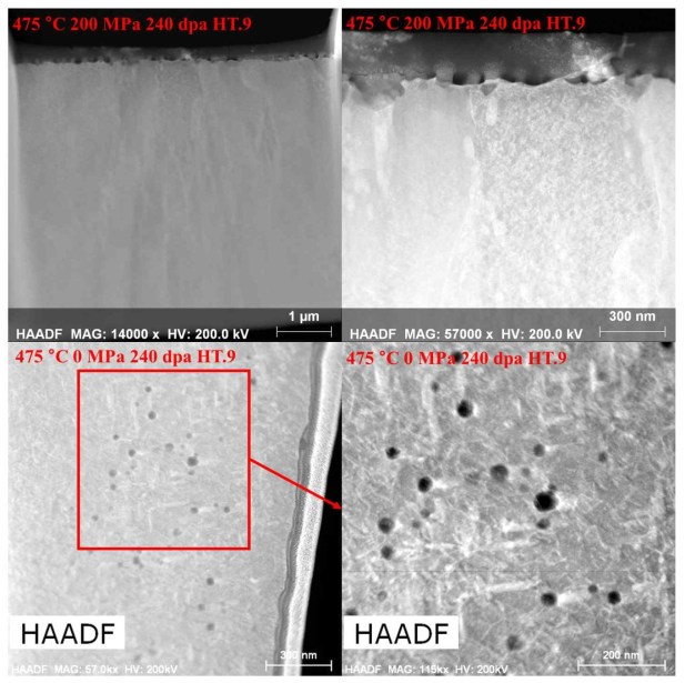 팽윤 거동이 발견되지 않은 고온 및 기계 응력 조건 조사 HT.9 HAADF 이미지와 팽윤 거동이 발견된 고온 조건 중이온 조사 HT.9 HAADF 이미지