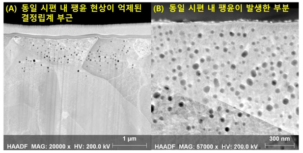 FIB 시편 제작 위치에 따른 동일 조사 손상도(480 dpa) 조건 FC.92-B 시편 간 팽윤 거동의 차이