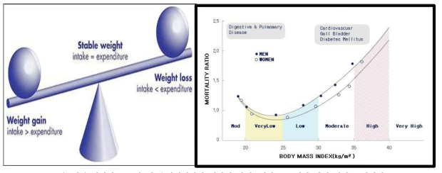 에너지 소모량 및 음식섭취량과 비만의 관계, 비만으로 인한 관련 질환 증가양상