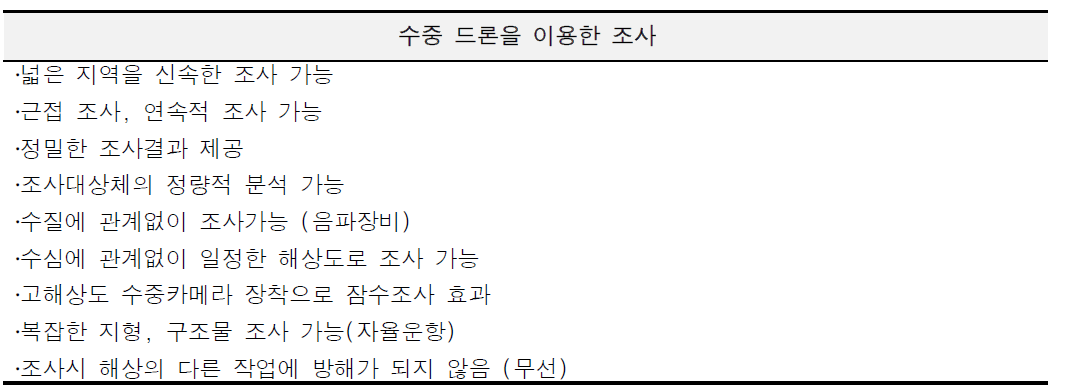 수중 드론을 이용한 조사