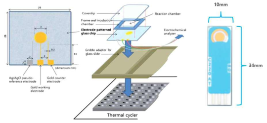 전기적/전기화학적 핵산 증폭 모니터링을 위한 자체 제작 전극 및 Dropsens 전극