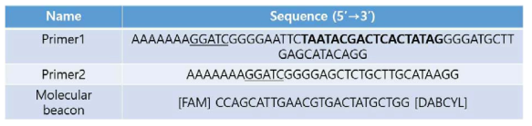 NESBA 기반 표적 gRNA (influenza A H3N2 virus gRNA) 검출에 사용된 oligonucleotide sequence 정보