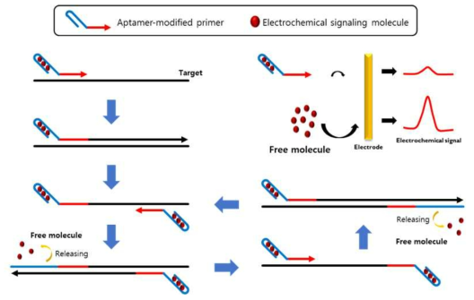 압타머가 수식된 프라이머를 활용한 전기화학적 RT-PCR 기술 모식도
