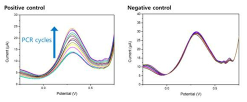 압타머가 수식된 프라이머를 활용한 전기화학적 RT-PCR의 신호 변화