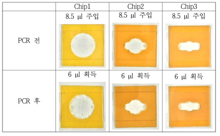 PCR 전 후 Chip