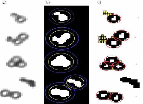 a) 현미경 이미지, b) 기존 프로그램 분석 결과. 다섯 개의 경우 모두 비대칭 응집체로 구분. c) 향상된 프로그램 분석 결과. 각 응집체를 구성하는 입자의 개수와 자성입자(노랑)와 폴리스티렌 입자(빨강)가 한 응집체에서 검지되었을 경우에만 비대칭 응집체로 분류