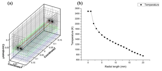 실제 HFCVD 시스템을 모사하기 위한 선행 3차원 전산해석 (a) 2 가닥의 필라멘트를 포함하는 3차원 격자 (b) 필라멘트로 부터의 20 mm 까지의 온도분포