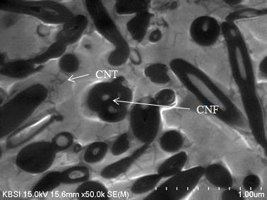 (b) 하이브리드 CNF + CNT/Mg 복합재료 내 CNF 와 CNT 분포