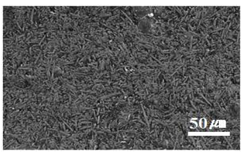 (b) Alborex+CNT/AS52 MMCs SEM사진(x1k)