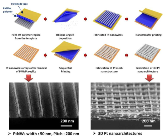 초미세 나노전사프린팅 공정 및 통해 제작된 백금 삼차원 나노 아키텍처 구조