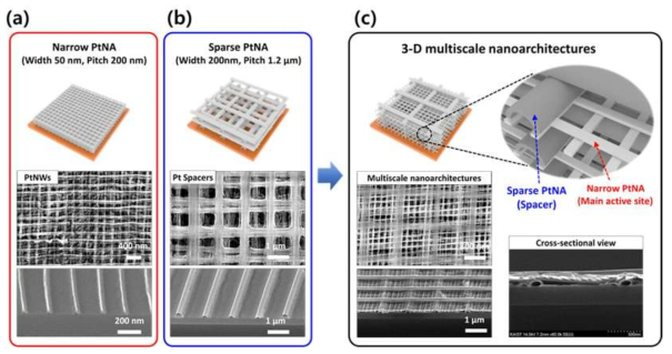 초미세 나노전사프린팅 공정울 통해 제작된 다양한 백금 삼차원 나노 아키텍처 구조 (a) Narrow Pt nanoarchitecture (주기 200 nm, 폭 50 nm), (b) Sparse Pt nanoarchitecture (주기 1.2 um, 폭 200 nm) (c) Multiscale Pt nanoarchitecture (Narrow PtNA와 Spacer PtNA의 하이브리드 구조)