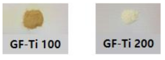 GF-Ti-100과 GF-Ti-200의 색상 비교