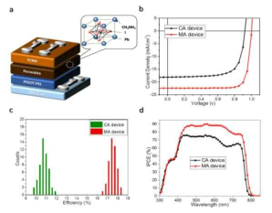 유-무기 하이브리드 소자 구조(a), 전류-전압곡선(b), 소자 효율 편차(c), IPCE 스펙트럼(d)