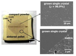 치밀화시킨 소결체를 이용하여 고상단결정성장법으로 성장시킨 단결정 단면 및 미세구조
