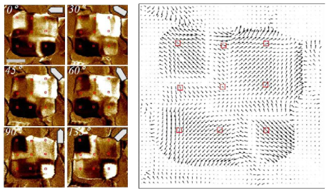 고 분해능 백터 압전반응 힘 현미경을 이용한 BFO 나노접시에서의 압전반응 지도