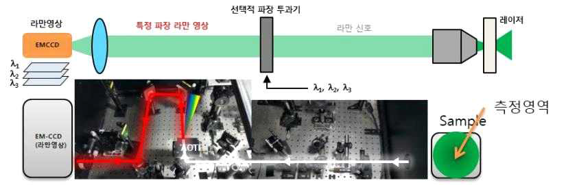 선택적 파장투과기를 이용한 초분광학 라만 센서 시스템의 구조