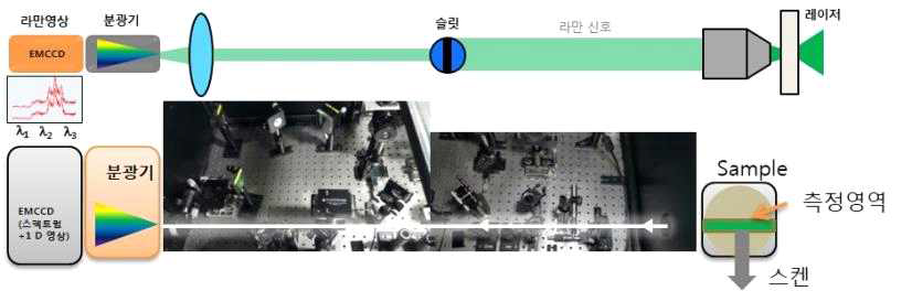 Push-broom 타입의 초분광학 라만 센서 시스템의 구조