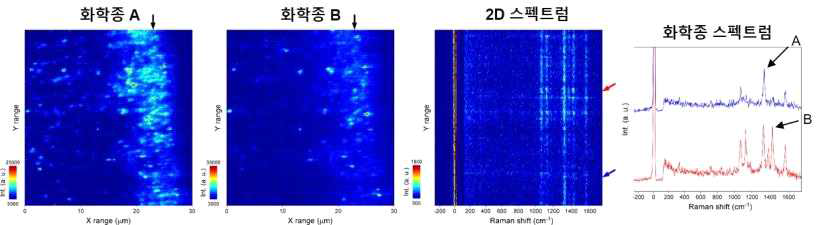 초분광라만영상 내 화학종 A (4-NBT) 및 화학종 B (DMAB)에 대한 hotspot 분포 및 스펙트럼