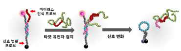 분자-광학 지퍼 설계 모식도