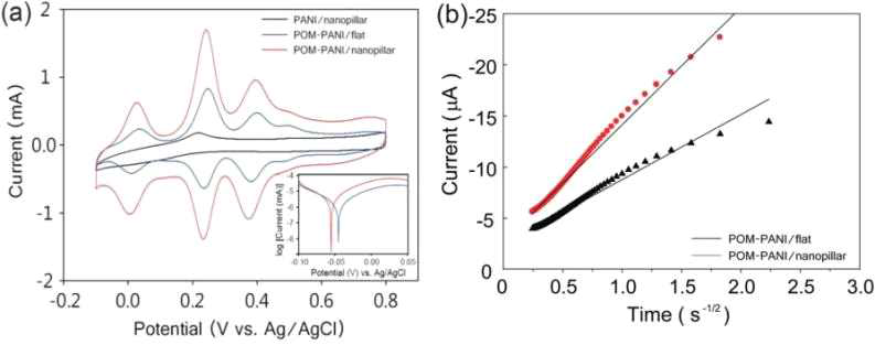(a) 0.5 M 황산 용액에서의 작동 전극 순환전압전류 측정 그래프 (b) 정전압방법을 통해 얻은 응답전류 그래프