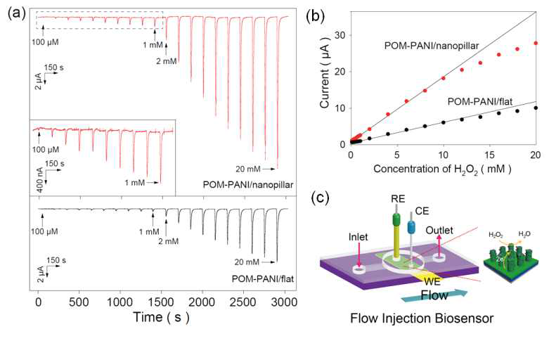 (a) 정전압전류법 기반의 과산화수소 농도에 따른 전류 변화, (b) 검정곡선, (c) 과산화수소 센서를 위한 미세우체 칩 모식도