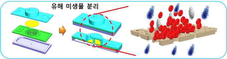 진동모터와 필터를 적용하여 혈액내 유해 바이오물질 분리칩 개념도