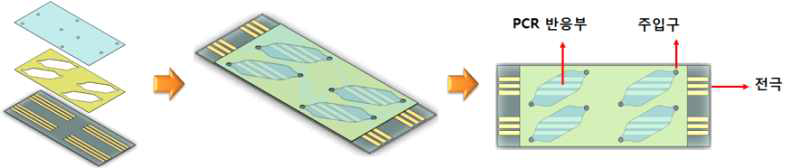 필름형 미세유체디바이스 제작 개념도 및 모식도