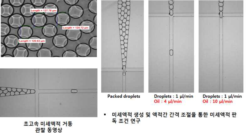 미세액적 간격 조절 연구 결과물