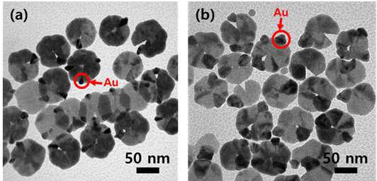 Cu7S4@Au2S@Au Pac-man 에 금 양이온 치환반응하여 금 입자 형성. (a) 소결정의 입자. (b) 대결정의 입자