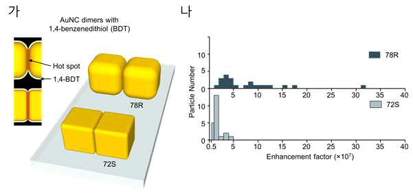 단일 입자 금 나노큐브 이합체로 부터의 SERS 신호 측정: (가) 1,4-BDT를 이용한 금 나노큐브 이합체 제조, (나) 두 종류의 금 나노큐브 이합체 (78R AuNC dimer, 72S AuNC dimer)의 SERS 증강 인자 분포