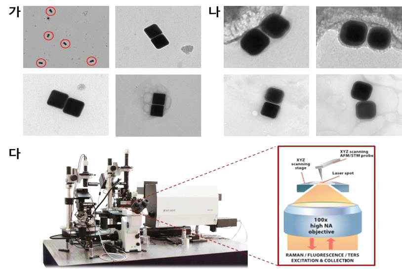 Dimer 형태의 나노다면체 조합체 고수율 합성: (가) 금 나노큐브 조합체, (나) 금/은 코어/쉘 나노큐브 조합체, (다) AFM 기능이 포함된 Raman 분광장치 (AFM-Raman)
