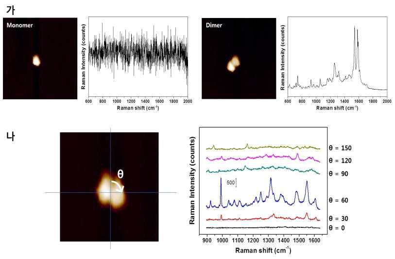 AFM-Raman 장비를 이용하여 단일 입자 수준에서 플라즈모닉 나노큐브 조합체의 광학 신호 측정: (가) 금 나노큐브의 조합에 따른 광학 신호 증폭 효과 비교, (나) 입사 레이저의 polarization에 따른 금/은 코어/쉘 나노큐브 조합체의 라만 신호 증폭 변화