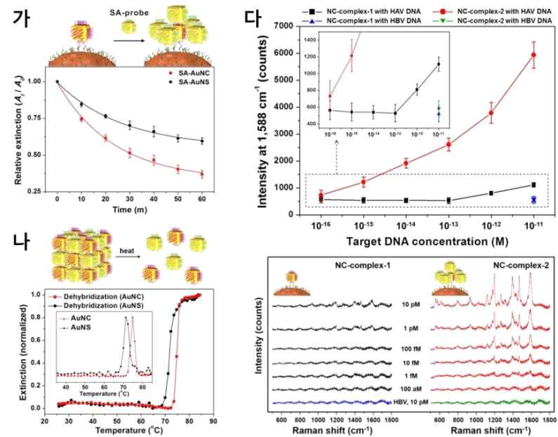 금 나노큐브 및 금 나노스피어의 구조적 차이점에 기인한 상보적 결합 속도, 결합 효율, dehybridization 특성 및 3D 조합 플라즈모닉 나노다면체 기반 바이오컨텐츠(HAV DNA) 검지 시스템의 검지능; (가) 금 나노큐브 및 금 나노스피어의 구조적 차이점에 기인한 상보적 결합 속도 및 결합 효율 비교, (나) 금 나노큐브 및 금 나노스피어의 구조적 차이점에 기인한 dehybridization 특성 비교, (다) 3D 조합 플라즈모닉 나노다면체 기반 바이오컨텐츠(HAV DNA) 검지 시스템의 검지능 확인