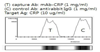 CRP 항원항체반응에 따른 선형업컨버전 형광신호