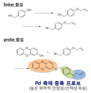 Pd 촉매 증폭 선형 업컨버젼 형광 프로브 합성 모식