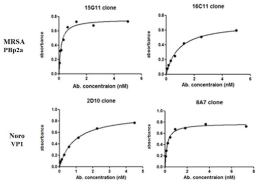 각각의 항원에 대한 MRSA의 PBp2a와 Noro 바이러스 단클론항체의 KD 곡선