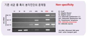 기존 진단 프로브 16s rRNA와 tonB를 이용한 K. pneumoniae 진단의 문제점