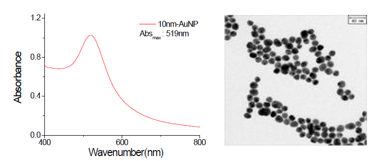 금 나노입자의 UV/Vis spectrum & TEM image