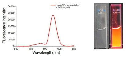 Levan@Eu 나노입자의 Fluorescence spectrum & UV lamp 조사 전/후(365㎚)