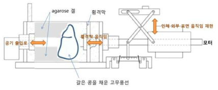 전체 팬톰 구성도