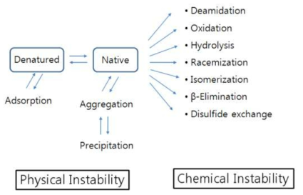단백질의 물리-화학적 불안정성