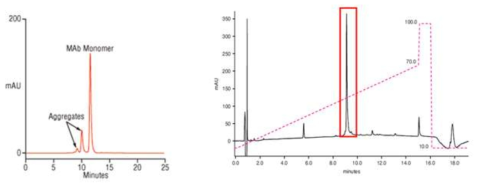 항체 의약품의 SEC 및 HPLC peak