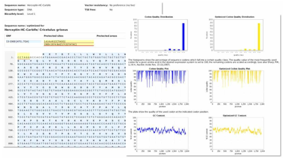 Herceptin-인터페론-베타 변이체 융합단백질 유전자의 codon optimization