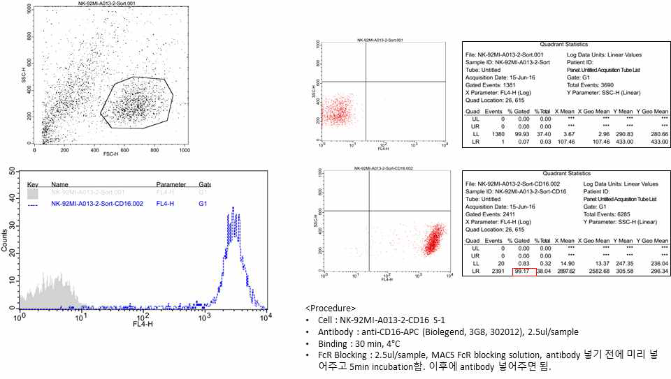 Sorting된 NK-92MI-CD16 세포의 CD16 발현 분석