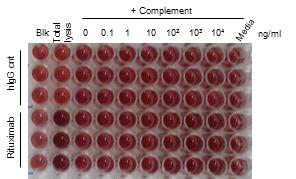 LDH 검출법을 활용한 CDC assay