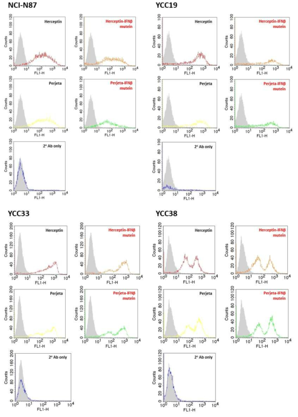 각 융합단백질의 flow cytometry 결과